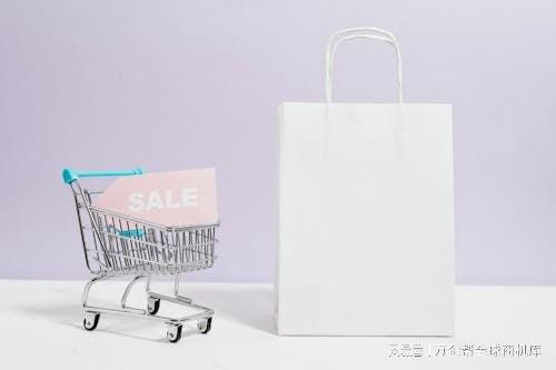 立站成功之道：案例解析与经验总结z6尊龙网站登录入口跨境电商独(图13)