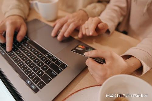 立站成功之道：案例解析与经验总结z6尊龙网站登录入口跨境电商独(图7)
