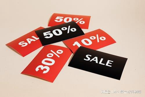 立站成功之道：案例解析与经验总结z6尊龙网站登录入口跨境电商独(图14)
