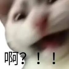 高管后续：女方巨富丈夫被爆当时也在现场密会新欢？！尊龙凯时app平台狗血反转！美CEO演唱会偷恋女(图12)